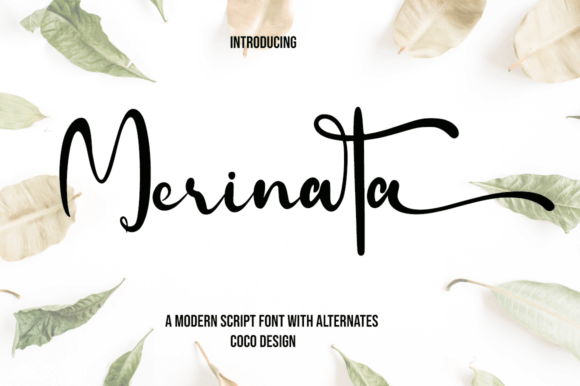 Merinata: A Premium Script Font for Polished Branding